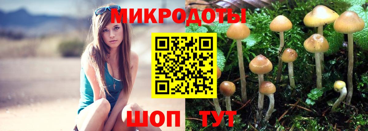 Тосно  Галлюциногенные грибы Psilocybine cubensis  Вход с VPN 